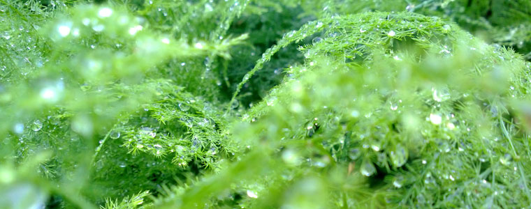 梅雨時の家具の湿気対策