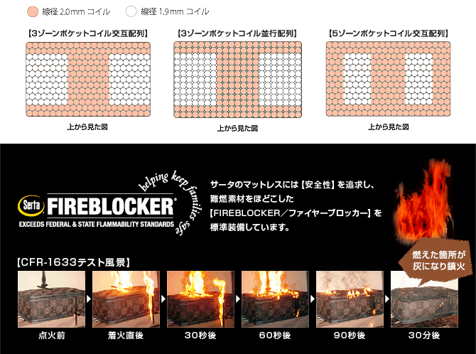 サータの特徴