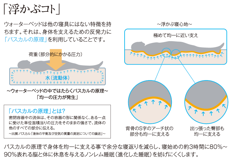 ウォーターワールド