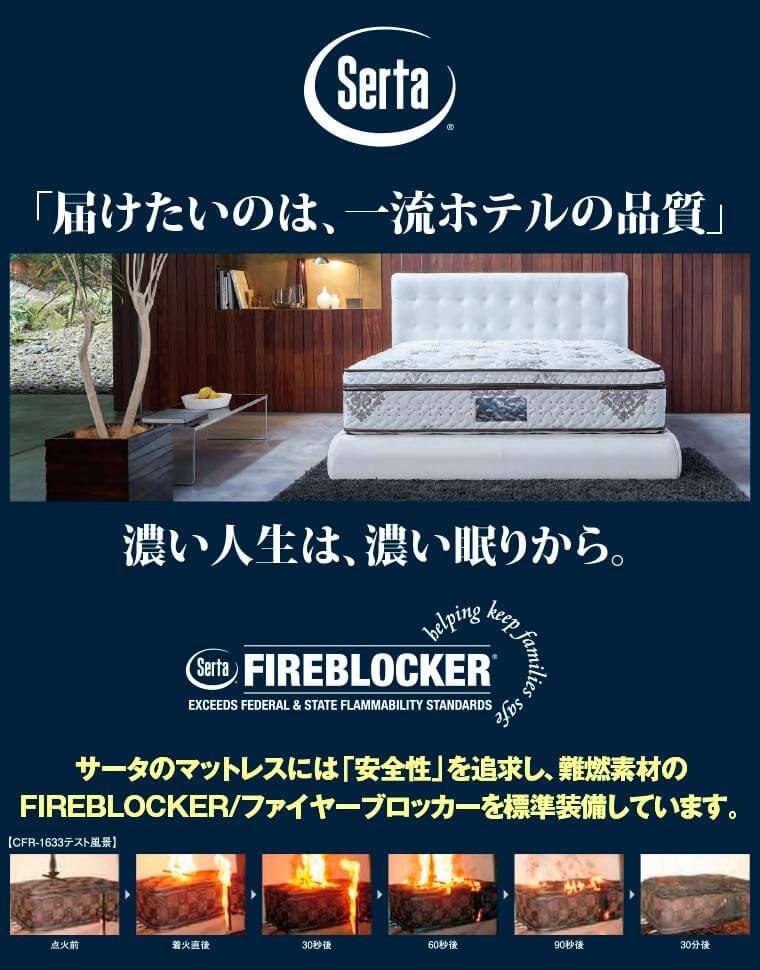 ファイヤーブロッカー