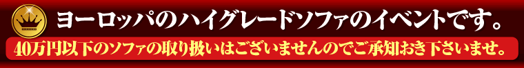 ヨーロッパのハイグレードソファ