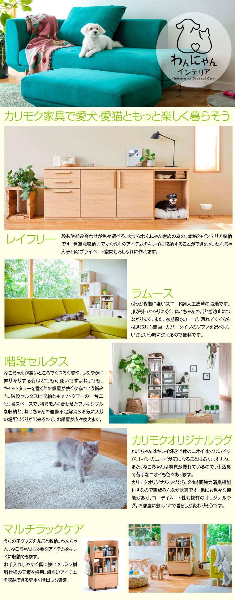 わんにゃんインテリア