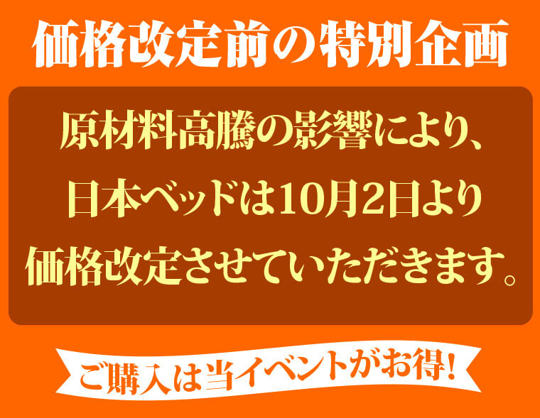 価格改定前特別企画