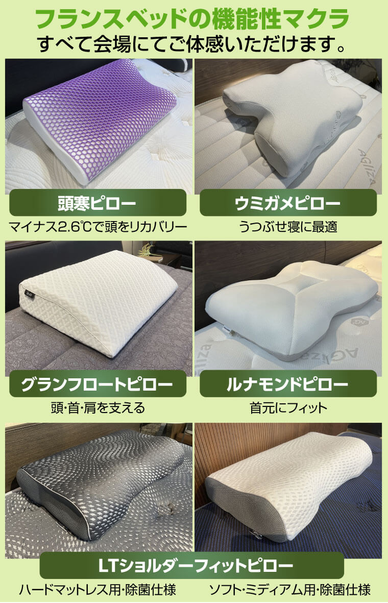 フランスベッド ウミガメピロー 2個セット フランスベッド ウミガメ