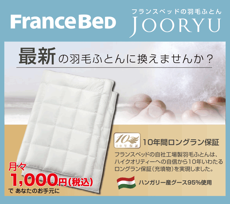 フランスベッドJOORYU