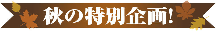 秋の特別企画!