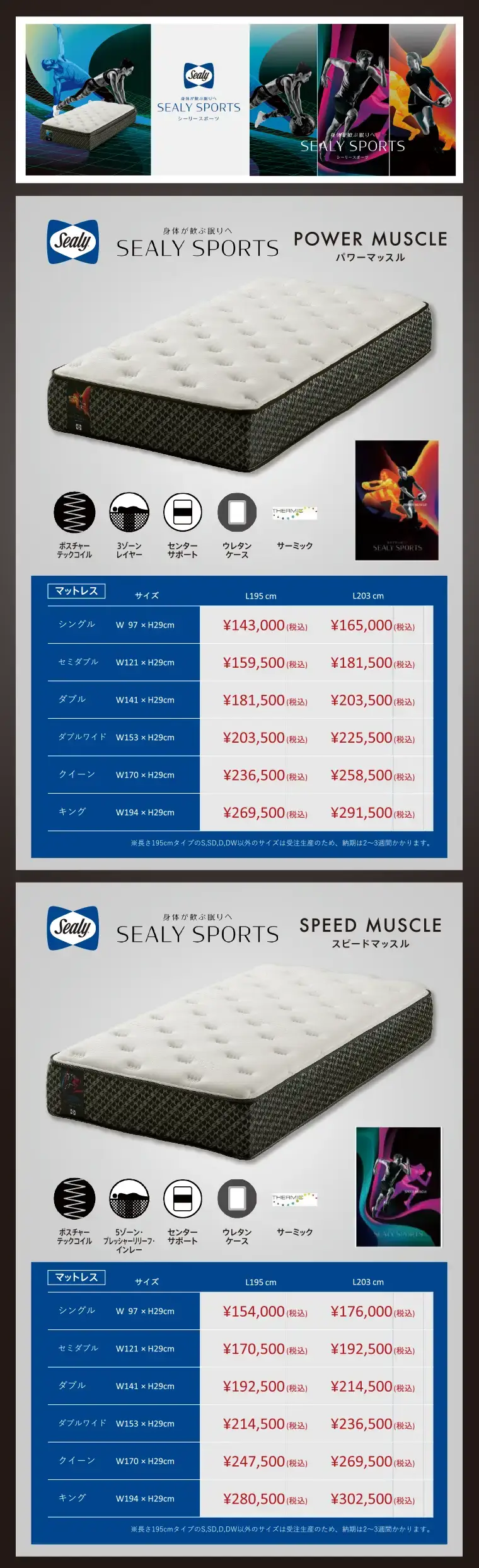 シーリースポーツ