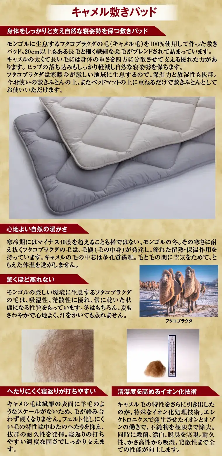 キャメル敷きパッド