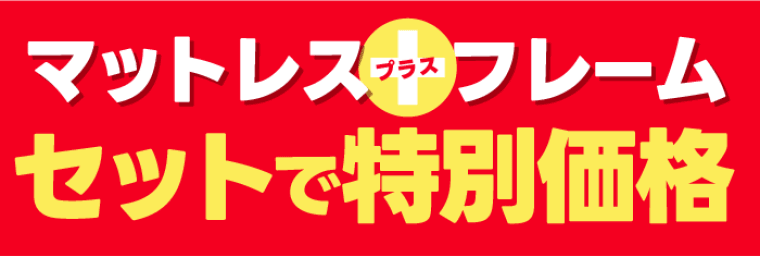 セットで特別価格