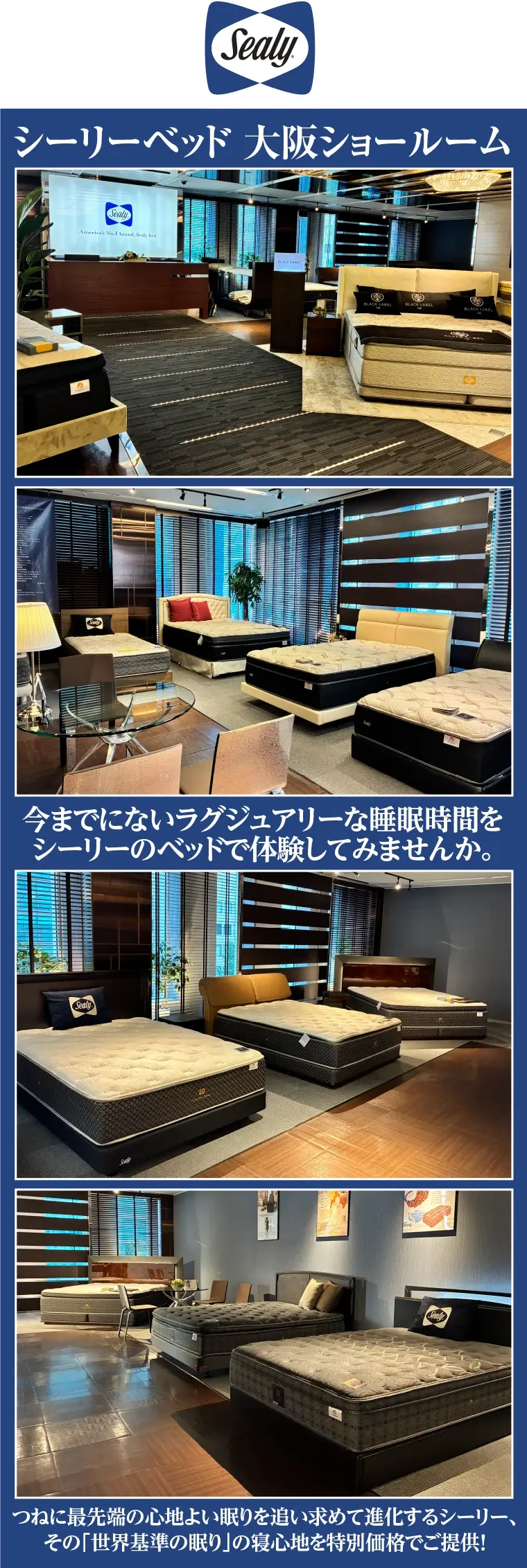 シーリーベッド 大阪ショールーム