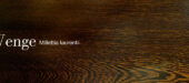wenge